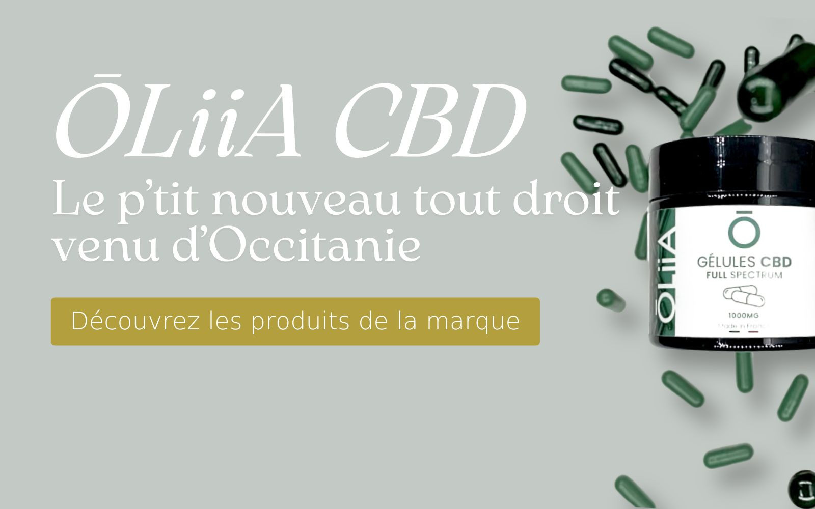Découvrez le p'tit nouveau OLiiA